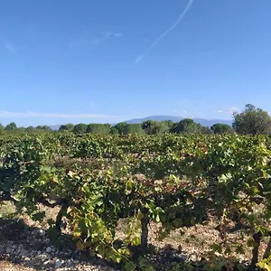 Dans Les Pins Avec Piscine Hébergement de vacances