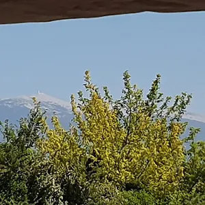 Pura Vida Maison d'hôtes